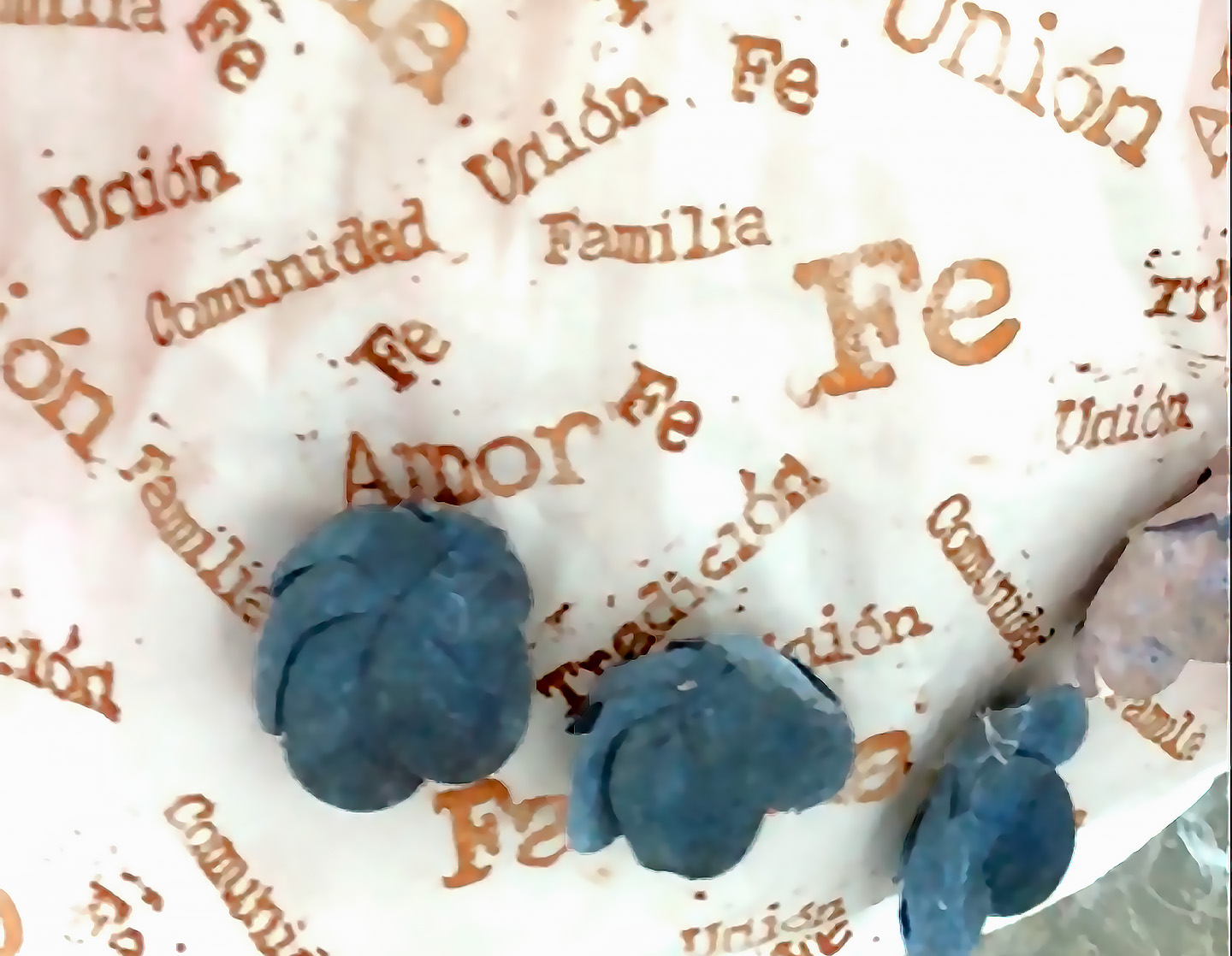 no me olvides close up